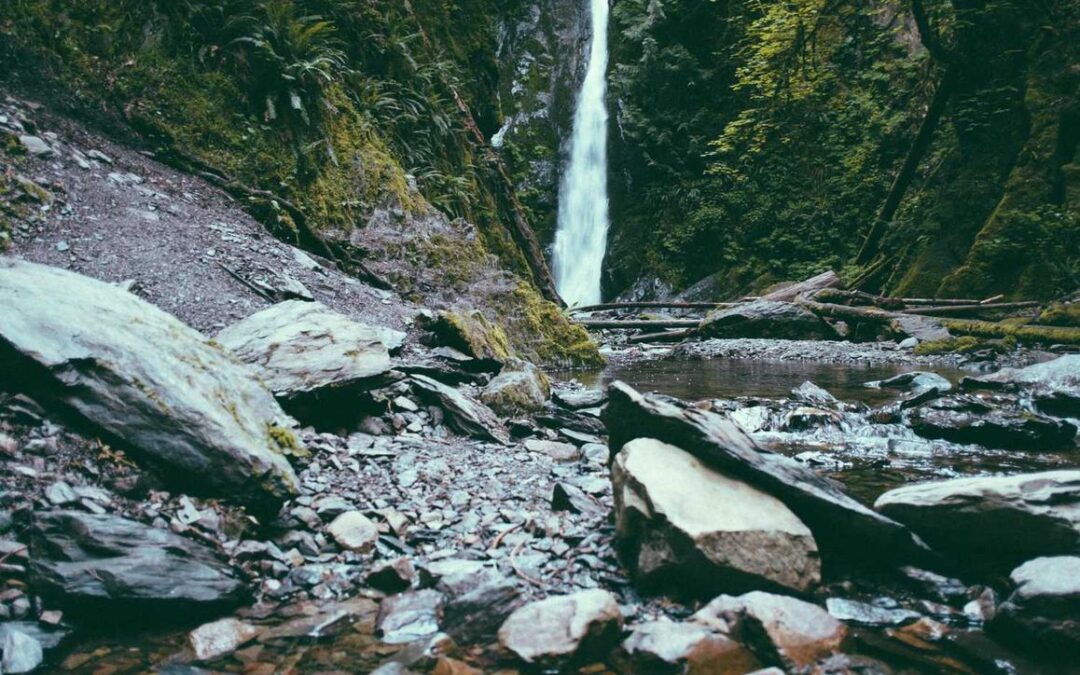 Eligendi minima ut tenetur ut