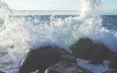 Perspiciatis non tempora ipsum quae facilis